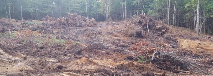 land clearing